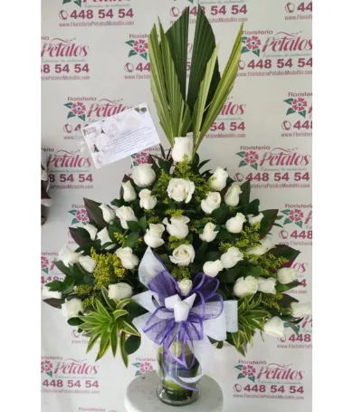 RF03- Funebre | Condolencia