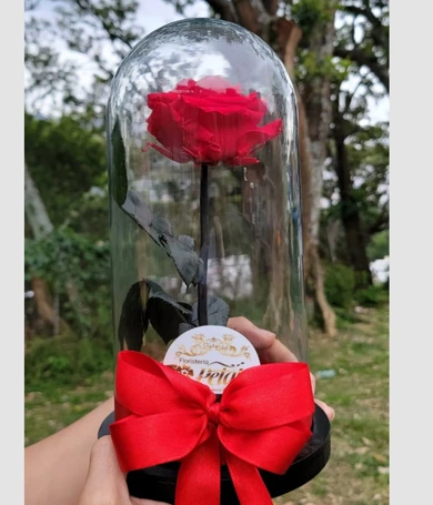 021-Rosa eterna roja