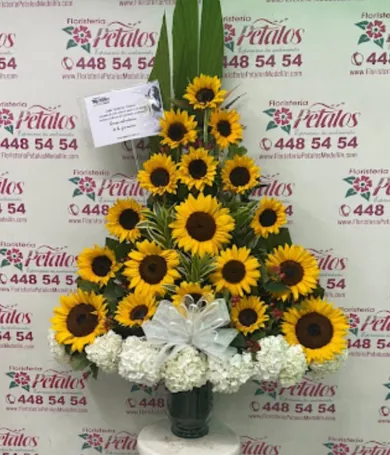 RF11- Funebre | Condolencia