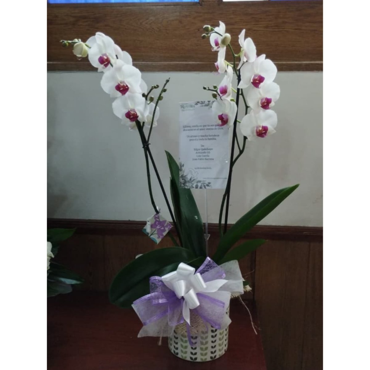 Orquidea de condolencias